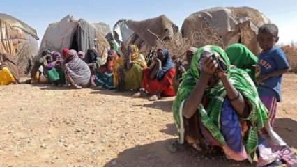 Birleşmiş Milletler: Kuraklık Somali'de yaklaşık 1 milyon kişiyi etkiledi