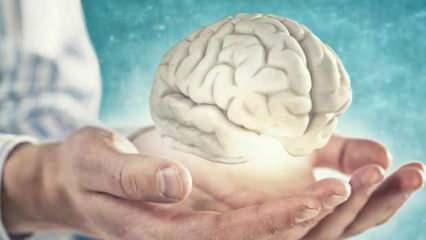 Bu test alzheimer riskini ortaya çıkarıyor! 'Evet' ve 'Hayır' cevaplarıyla beyin yaşınızı bulun