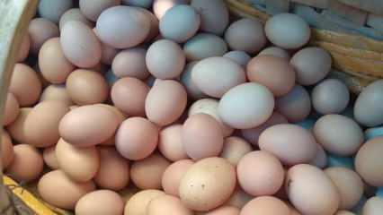Kuş gribi salgını ve enflasyon: ABD'de yumurta fiyatları uçtu