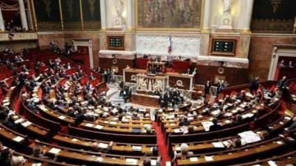 Fransız vekil Fournas'a "ırkçılık" cezası: 15 gün uzaklaştırma, maaşında kesinti