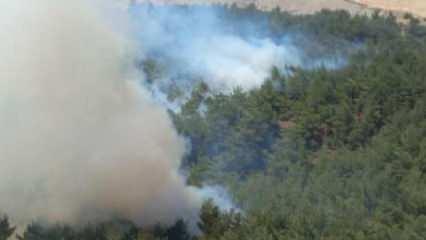Kaz Dağları’ndaki orman yangını kontrol altına alındı
