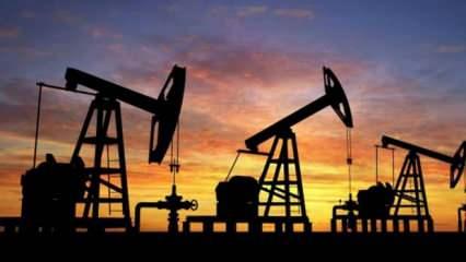 Senegal, Afrika Petrol Üreticileri Örgütüne katıldı
