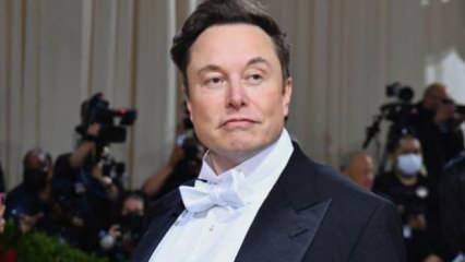 Elon Musk safını belli etti! Twitter'dan onlar için oy istedi