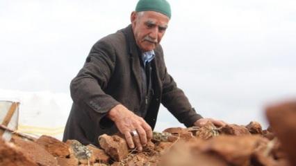 74 yaşındaki İsmail amca şehrin ortasındaki taşlık araziyi ormana çevirdi