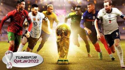 2022 Dünya Kupası puan durumu ve fikstür
