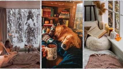 Aralık ayı için kış temasına merhaba deyin: Renkler, dokular ve stiller