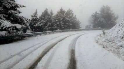Bolu'da kar yağışı: Beyaza büründü!