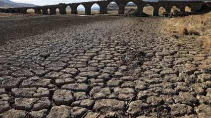 İspanya'da kuraklık: Su kısıtlamasına gidiliyor