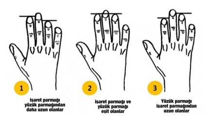 Parmak uzunluğu kişilik testi: Parmak uzunluğunuz karakterinizi etkiliyor!