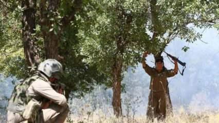 Terör örgütleri PKK ile MLKP dağılma sürecinde! Teslim oldular