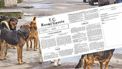 13 Haziran 1932 tarihli Resmi Gazete: Sahipsiz olan bütün köpekler itlaf edilecek