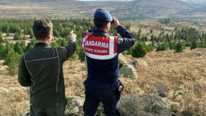 Aksaray'da jandarma Anadolu Yaban Koyunlarını dron ile takip ediyor