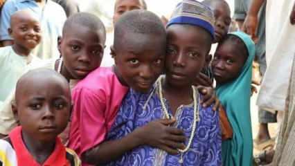 Nijerya'da Boko Haram'dan kaçan 5 bin 704 kişi evine döndü