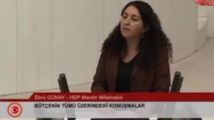 Skandal açıklamalar! PKK destekçisi HDP'li vekil savunmaya ayrılan bütçeyi eleştirdi!