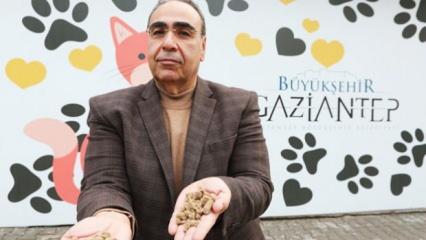 Gaziantep Büyükşehir, gastronomi lezzetlerini sokak hayvanlarına mama olarak sunuyor