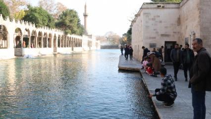 İslam ülkelerinin 2023 turizm kenti: Şanlıurfa