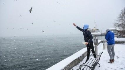 İstanbul'a kar düştü! Meteoroloji'den peş peşe uyarılar! Dondurucu soğuk ve kar yağışı...