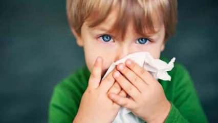 Üşüme, titreme, baş ağrısı... Domuz gribi olabilirsiniz! İnfluenza A (H1N1) virüsü nedir?