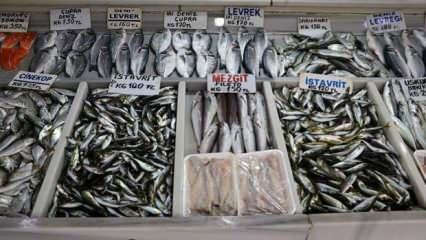 Balıkçılar sis nedeniyle denize açılamayınca balık fiyatları arttı
