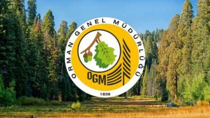 OGM en az lise mezunu personel alımı devam ediyor! Orman Genel Müdürlüğü başvuru ekranı ve şartları