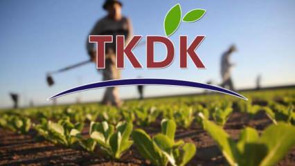 TKDK en az 70 KPSS puan ile personel alımı yapıyor! Başvurular bugün bitiyor