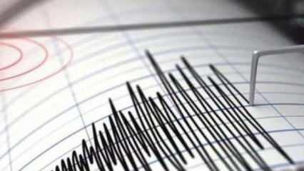 Vanuatu'da 7 büyüklüğünde deprem! Tsunami alarmı verildi