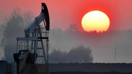 AB'nin Rusya'ya petrol yaptırımının bilançosu: Günlük kayıp 160 milyon euro