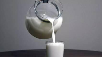 Çiğ süt desteğine ilişkin esaslar belli oldu