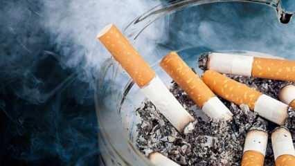 Meksika, dünyanın en katı sigara karşıtı yasasını yürürlüğe koydu