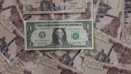 Mısır parası dolar karşısında değer kaybediyor
