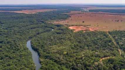 Amazonlarda, günde 3 bin futbol sahası büyüklüğünde orman yok edildi