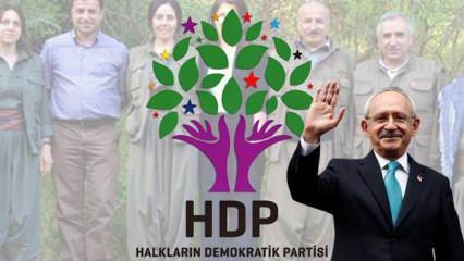 "Kılıçdaroğlu'na vasiyetimdir" diyen Doç. Dr. Palabıyık: PKK'ya destekten vazgeç