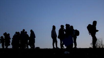 138 düzensiz göçmen sınır dışı edildi
