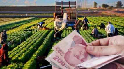Tarımsal destek ödemeleri bugün hesaplara yatıyor