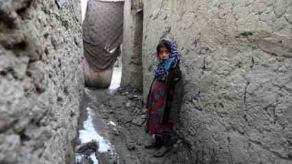 Afganistan’da insani kriz derinleşiyor... Donarak ölenlerin sayısı 170'i geçti
