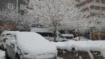 İşte karla kaplanan iller! Türkiye'den beyaz manzaralar...