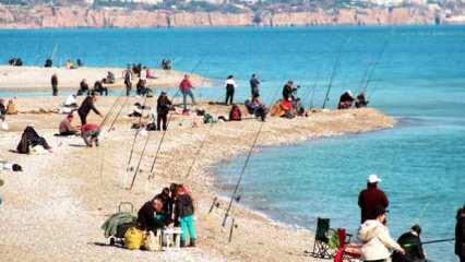 Antalya'da firari balık çılgınlığı! Oltasını alan sahillere akın etti