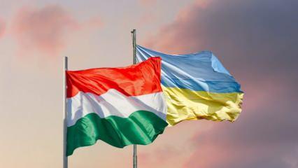 Macaristan ile Avusturya, Ukrayna'ya silah yollamayacak