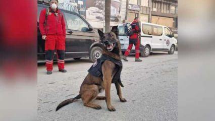 Bosna Hersek'ten gelen "Atos" 3 kişinin yerini tespit etti