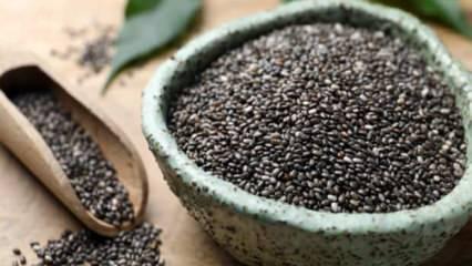 Chia tohumu nasıl tüketilir? Faydaları ve zararları…
