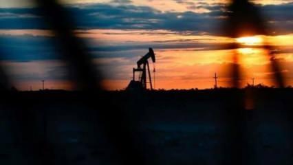 Nijerya'da yeni petrol ve doğal gaz sahası keşfedildi