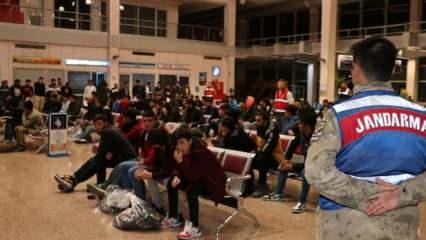 Göç İdaresi Başkanlığı, sınır dışı edilen düzensiz göçmen sayısını açıkladı
