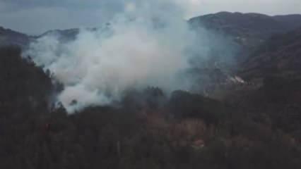 Kastamonu'da sigara izmariti ormanlık alanda yangın çıkardı