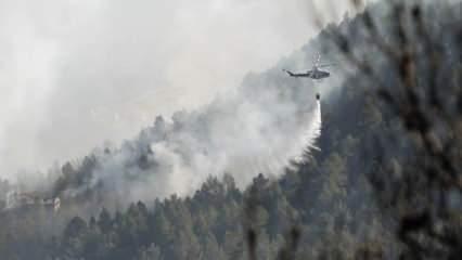 İspanya'da orman yangını: 4 bin hektardan fazla alan kül oldu