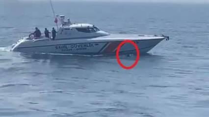 Marmara Denizi'nde feribottan atlayan yolcuyu Sahil Güvenlik ekibi kurtardı