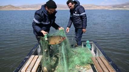 Balık avı yasağına uymadılar: 22 bin 180 lira ceza kesildi!