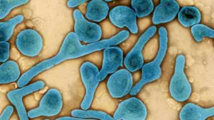 Ölümcül virüs paniği: Körfez ülkelerinden uyarı