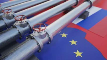 Avrupa'ya enerji krizi uyarısı