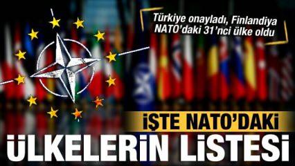 Türkiye onayladı, Finlandiya NATO'ya dahil oldu! İşte güncel NATO listesi...