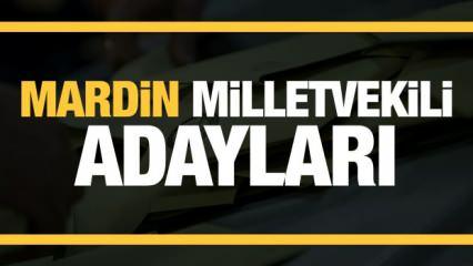 Mardin milletvekili adayları! AK Parti, CHP, MHP, Yeniden Refah Partisi, İYİ Parti aday listesi